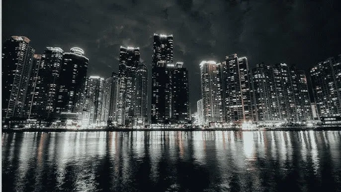 老司机带带我免费看 - 城市之光：霓虹背后的人间烟火